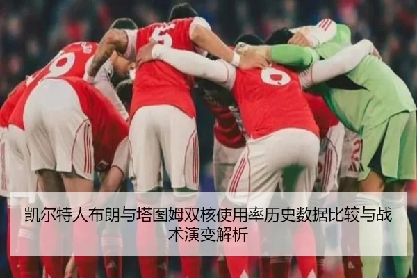 凯尔特人布朗与塔图姆双核使用率历史数据比较与战术演变解析